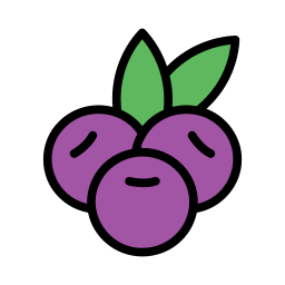Ícone de Açaí